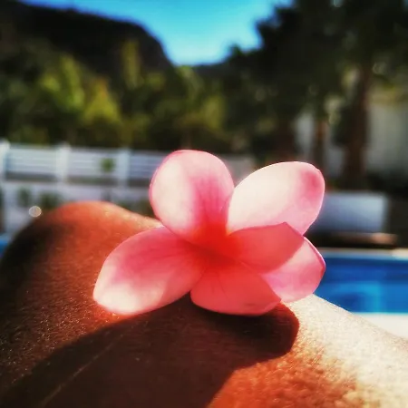 Girolama Hébergement de vacances *